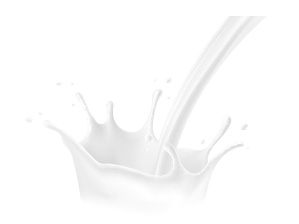Proteine-de-lait.jpg